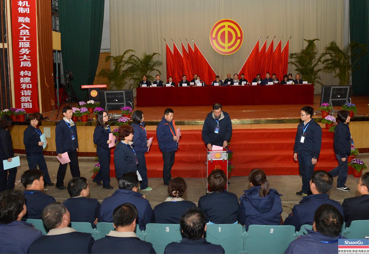 AG一飞冲天集团工会第二次会员代表大会召开-公司新闻-AG一飞冲天